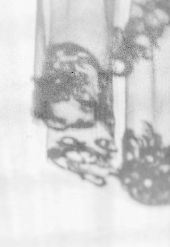 1Q4A6541